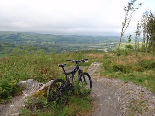 Ciclismo de montaña en el Bosque Brechfa