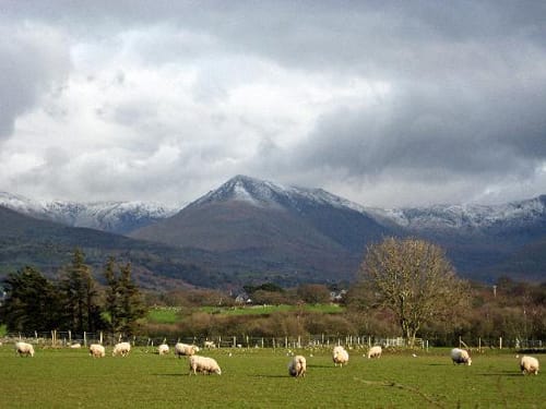 Gales e Inglaterra, una vecindad siempre difícil Gales e Inglaterra, una vecindad siempre difícil